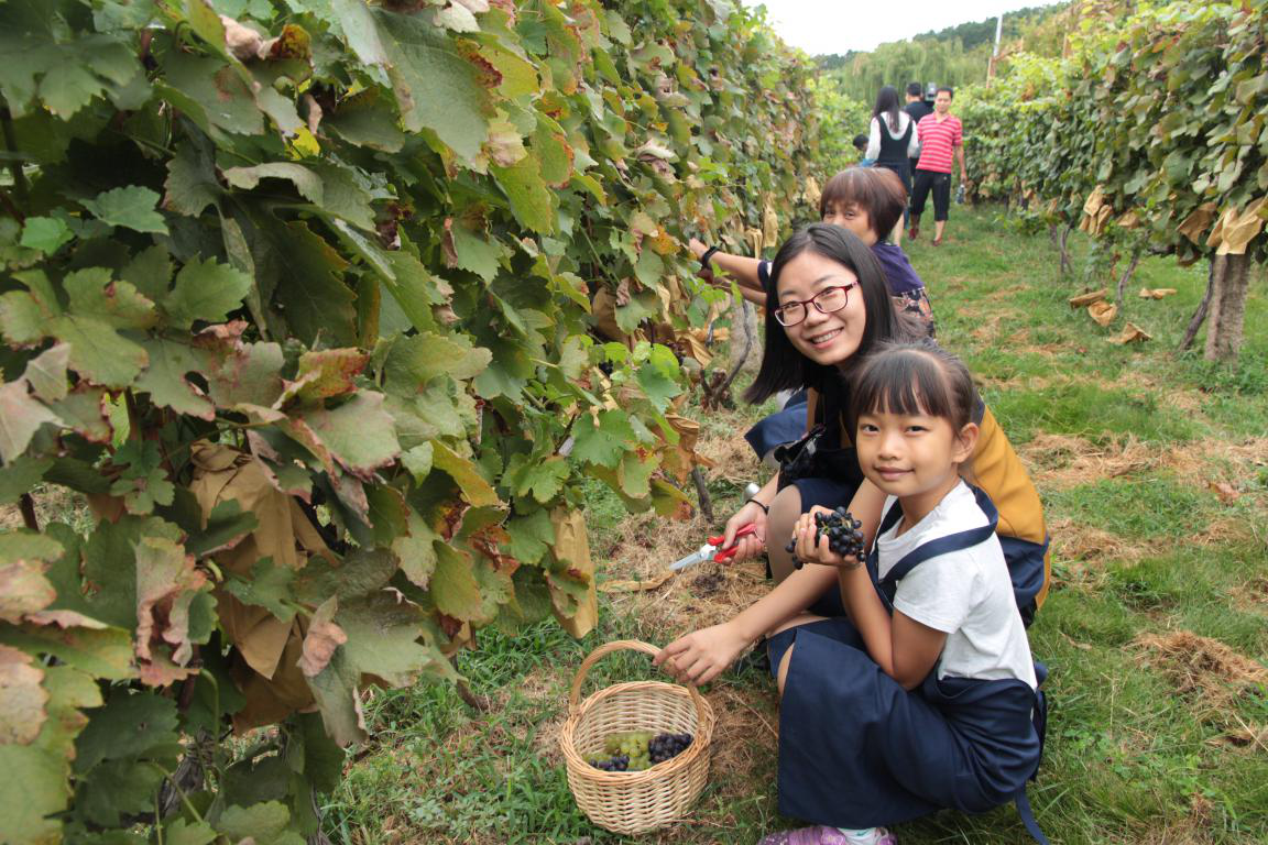 1537864313866823.png 图片3.png