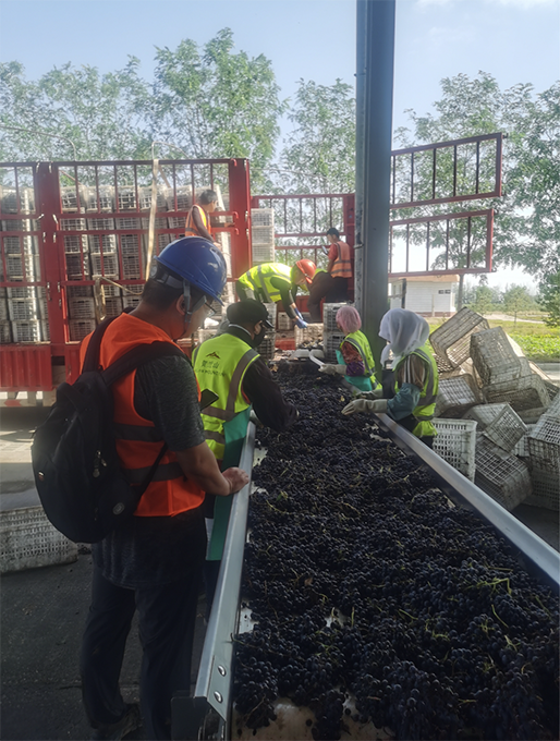 1664718938964859.png 华东01.png